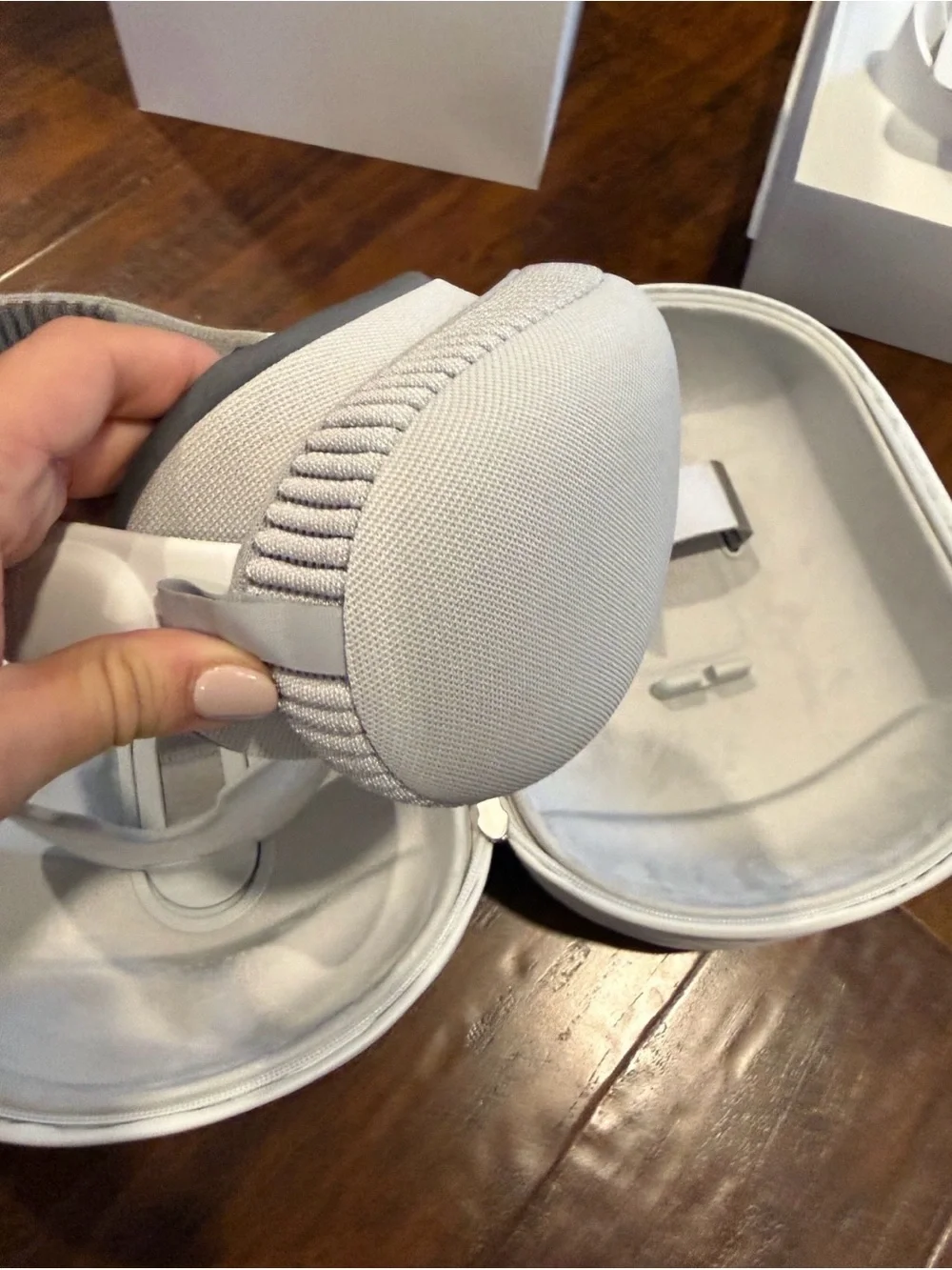 Apple vision pro